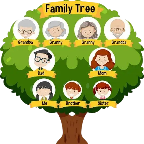 family tree representing family members - family tree maker support